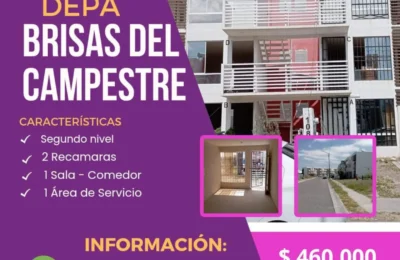 IMG_20241007_075328_568