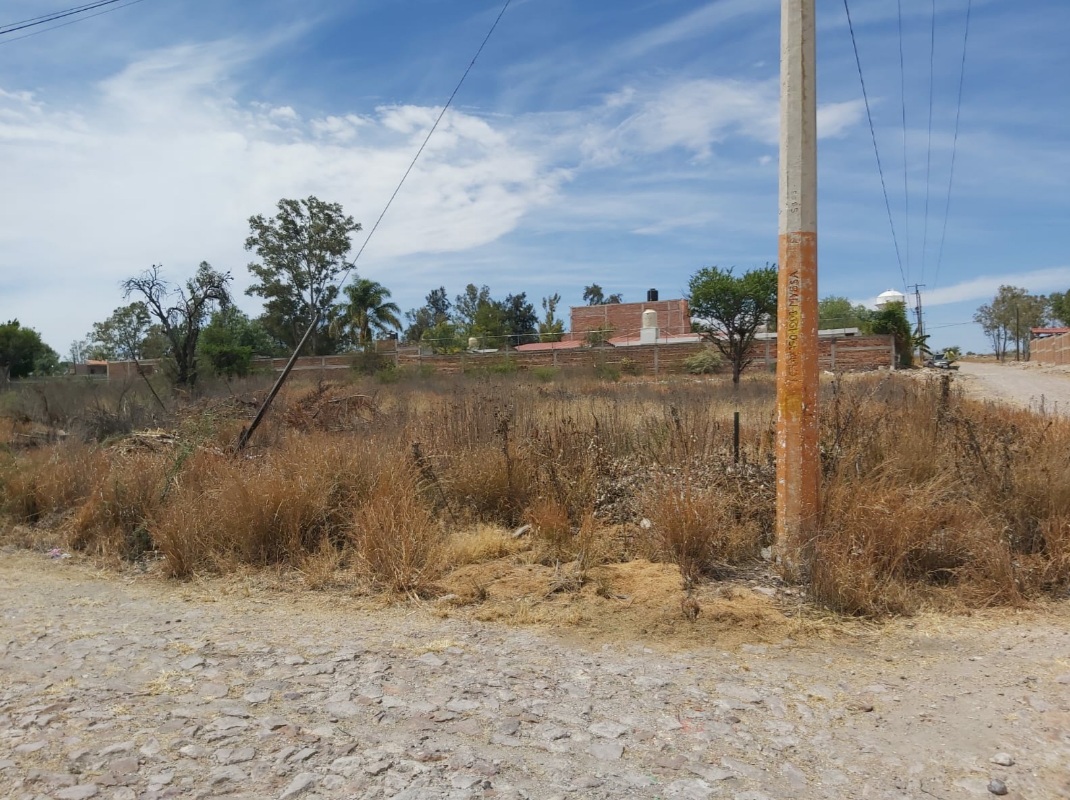 IMG-20260316-WA0005