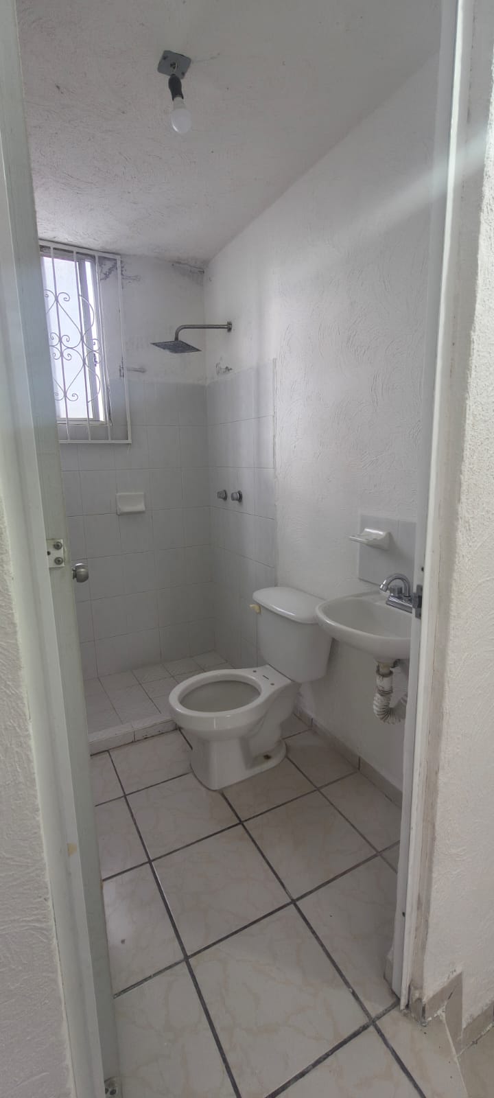 IMG-20260612-WA0024